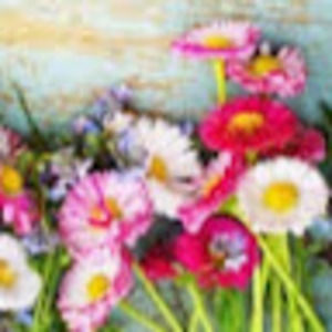 Meet your Posher, Maddie